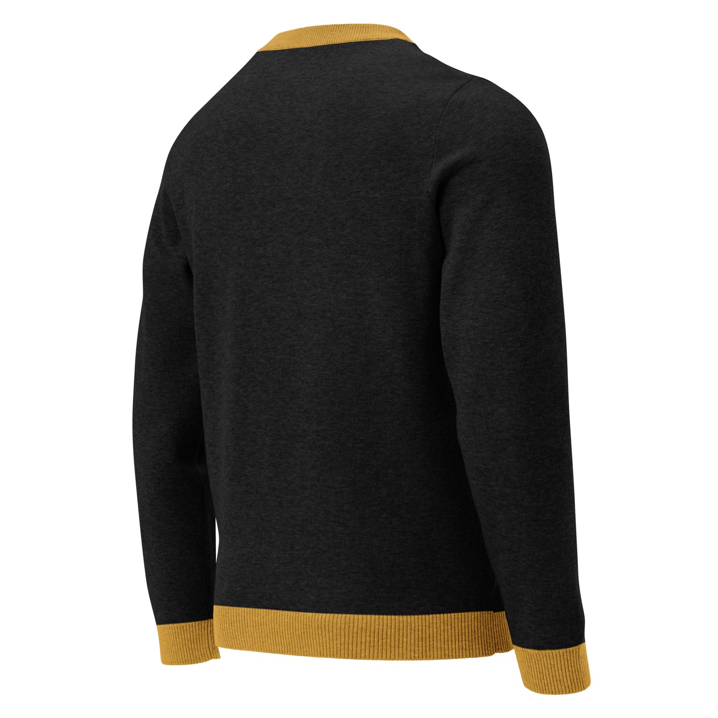 Alpha Ice 1906 Sweater